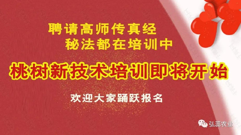 【J9认证科技】聘请高师传真经 秘法都在培训中 桃树新技术培训即将开始