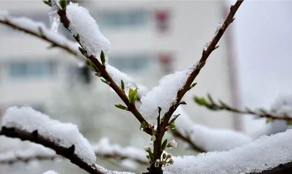 =͟͟͞͞暴=͟͟͞͞雪！暴=͟͟͞͞雨=͟͟͞͞！今年来范围大！强度强！超20个省区市受影响！