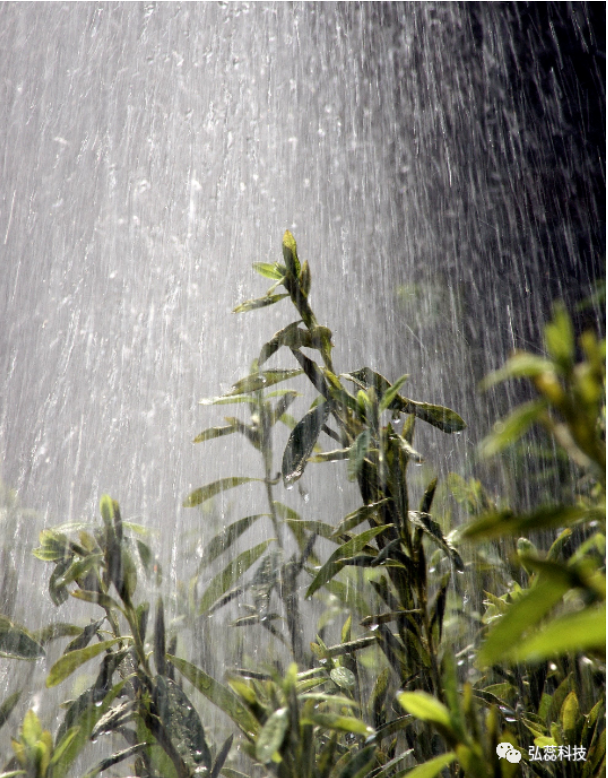 今年暴雨预警！҈雷暴҈大҈风҈、冰҈雹҈来袭