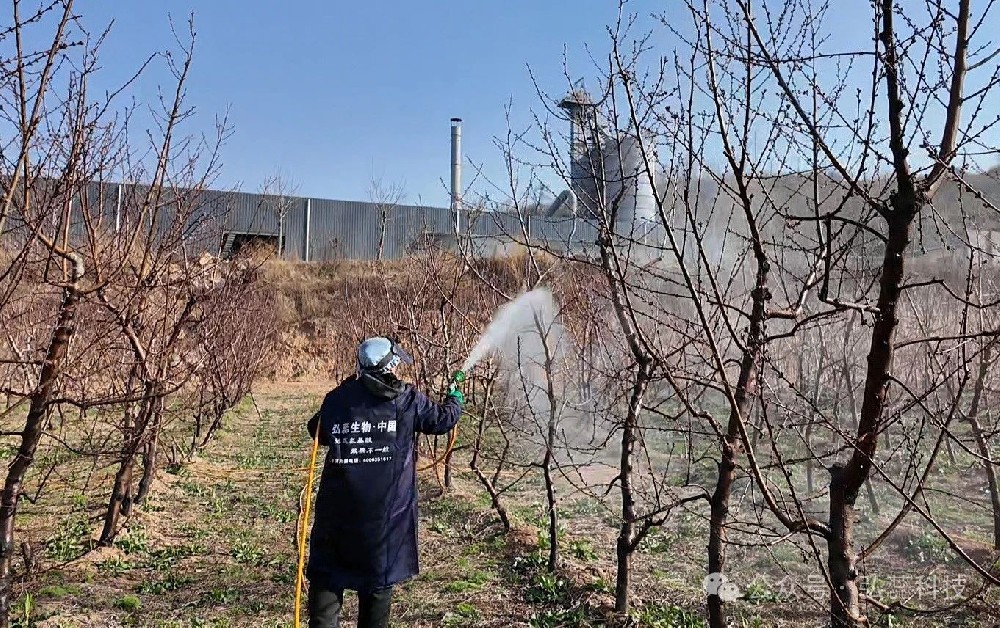 植物需氨基酸，螯合真品别用偏