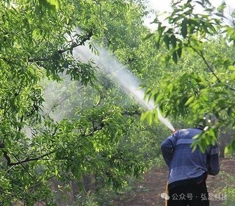 掌握10个配方，除虫不再困难！